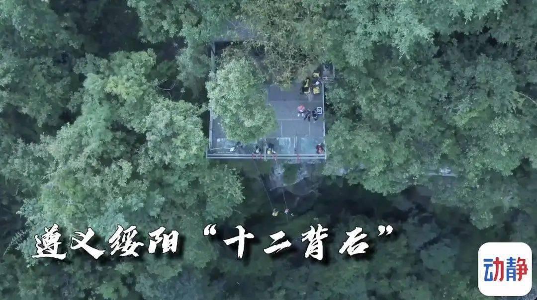 豆娃勇士2